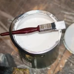 How Professional Painters in Tampa, FL Can Save You Time and Money