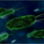 The Dangers & Prevention of Legionella - What Everyone Should Know